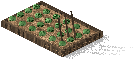 Horta