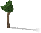 Árvore frondosa, velha