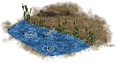 Peixe